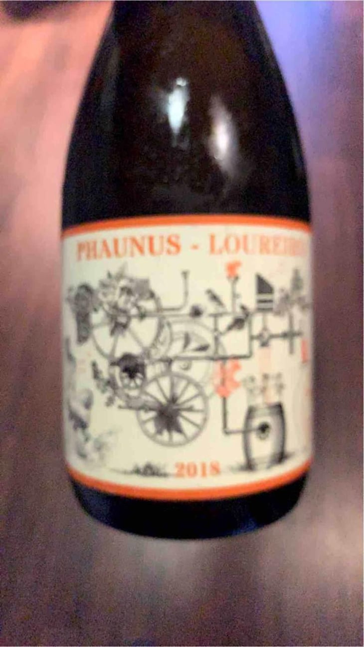 Phaunus-Loureiro - Aphros Wines Cellar - Vasco Croft, Tiago Sampaio & Miguel Viseu 