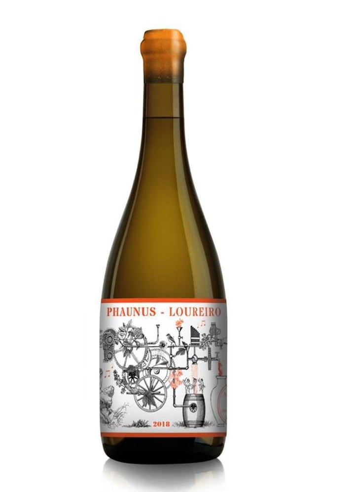 Phaunus-Loureiro - Aphros Wines Cellar - Vasco Croft, Tiago Sampaio & Miguel Viseu 