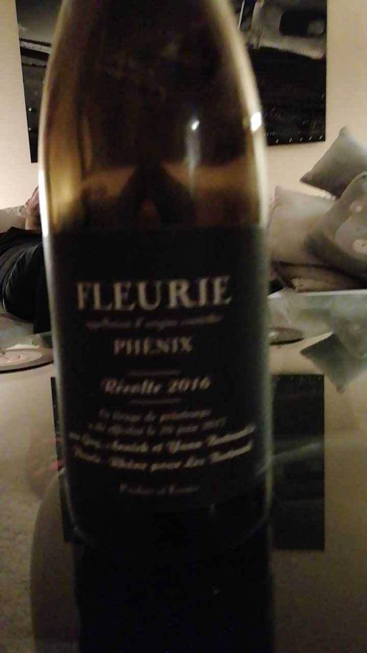 Phénix - Les Bertrand - Guy, Annick & Yann Bertrand 