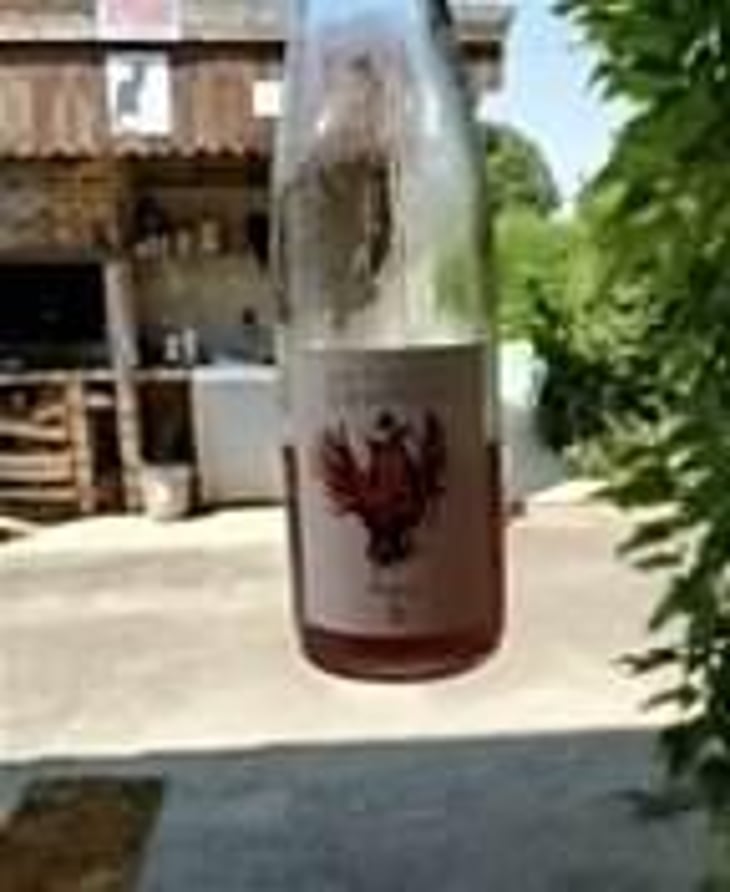 Phénix - Domaine Geschickt - Arnaud Geschickt & Aurélie Fayolle 
