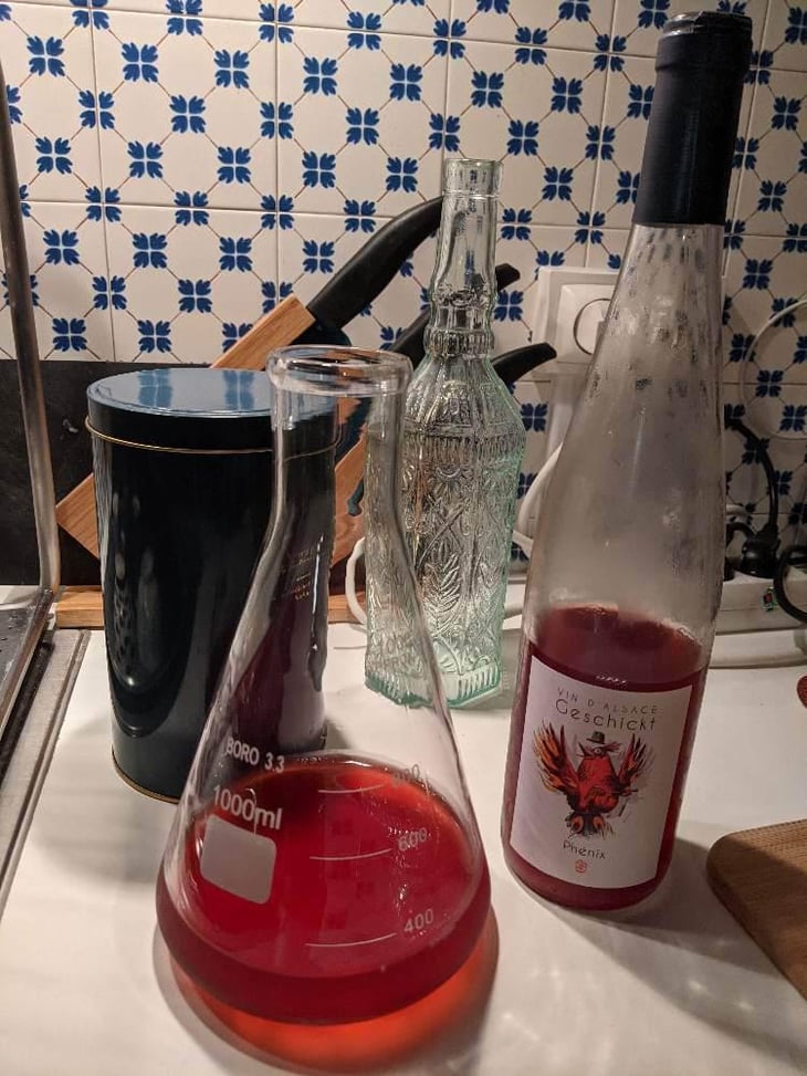 Phénix - Domaine Geschickt - Arnaud Geschickt & Aurélie Fayolle 