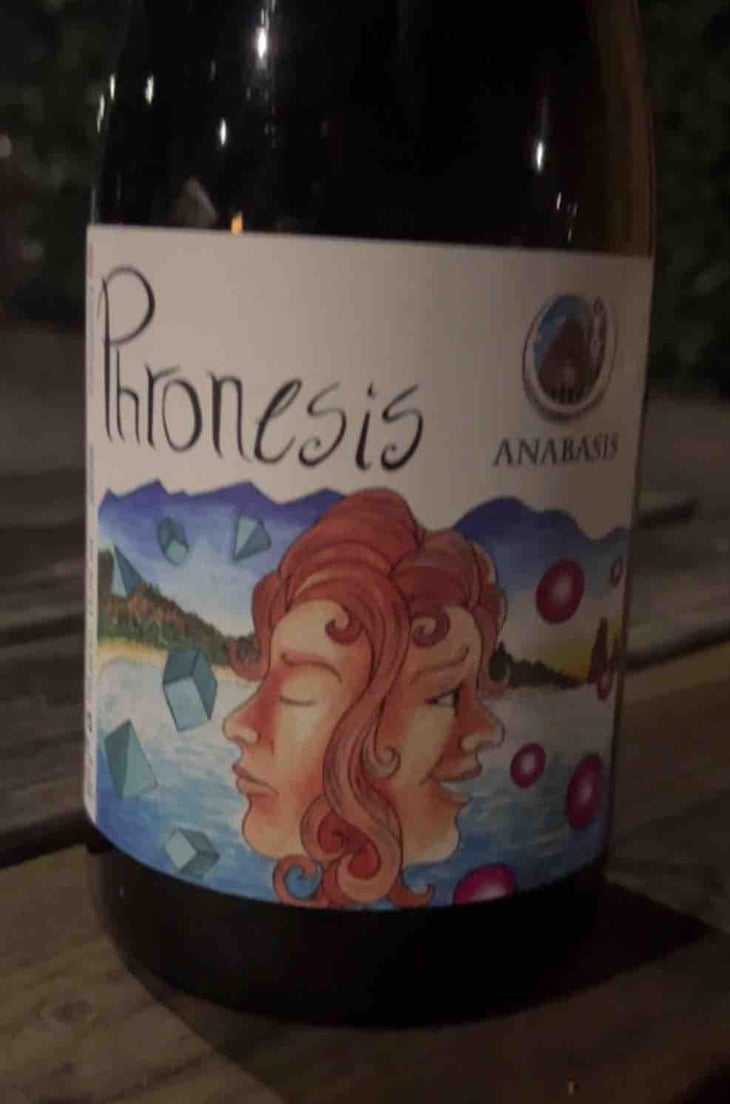 Phronesis - Anabasis - Michelangelo Alagna -2022
