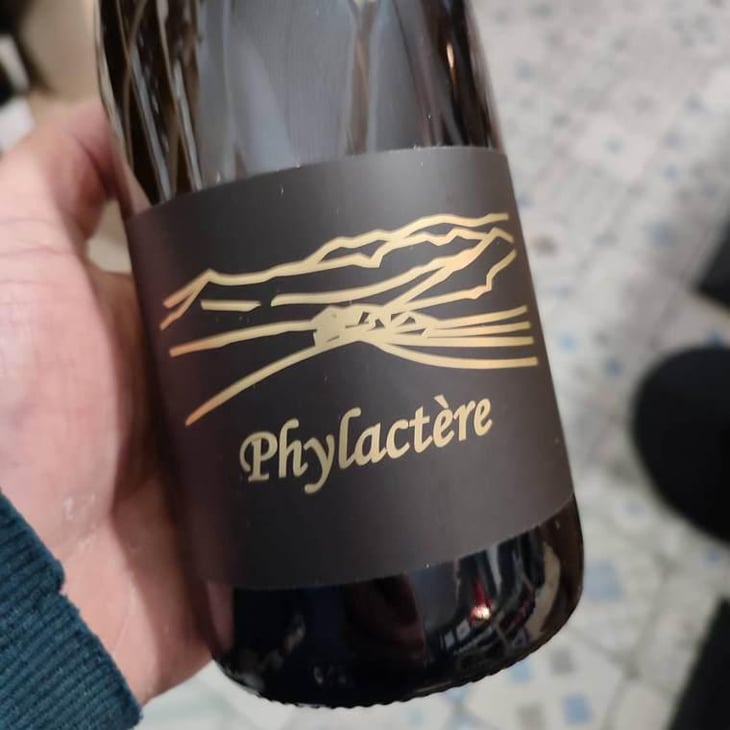 Phylactère - Clos des Cimes - Elodie Aubert 
