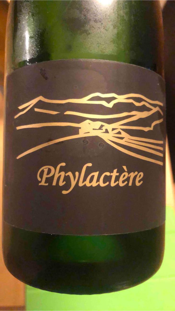 Phylactère - Clos des Cimes - Elodie Aubert 