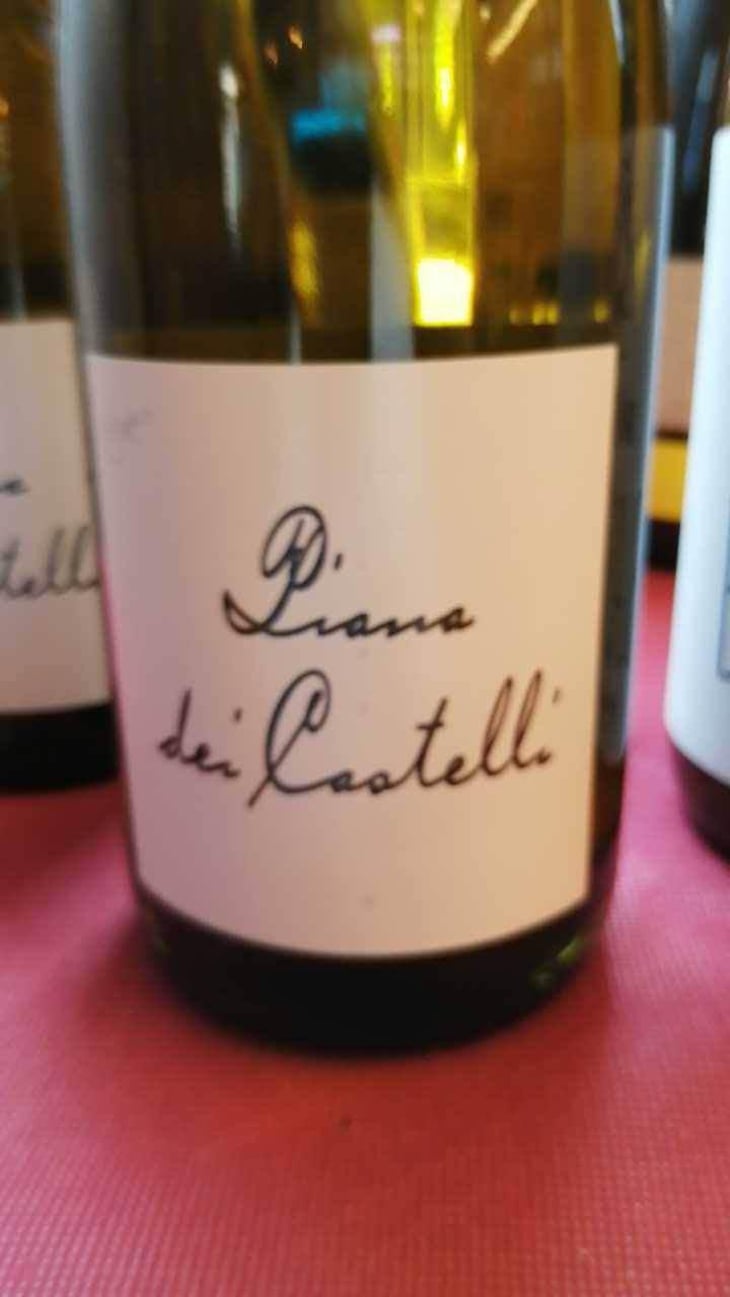 Piana dei Castelli (bianco) - Piana dei Castelli - Matteo Ceracchi 