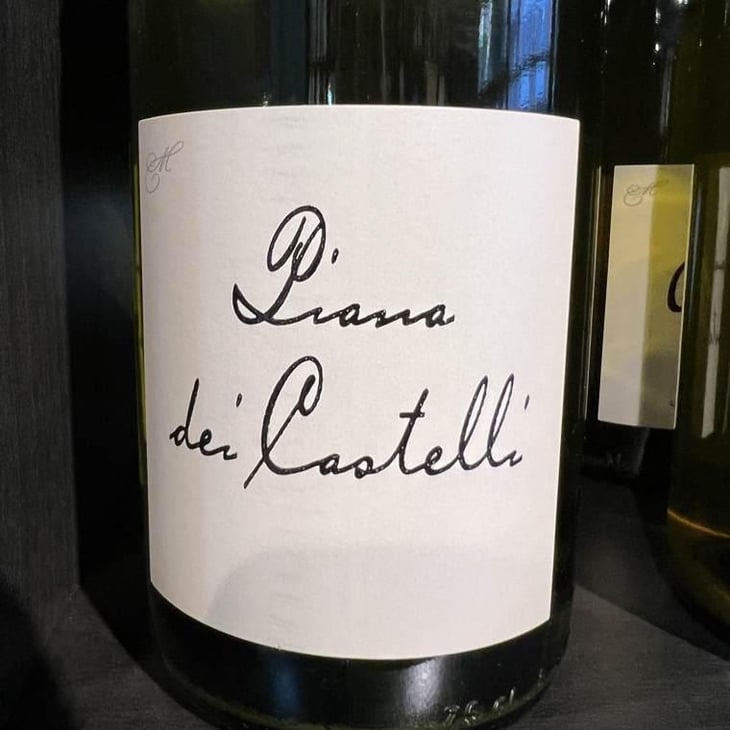 Piana dei Castelli (bianco) - Piana dei Castelli - Matteo Ceracchi 