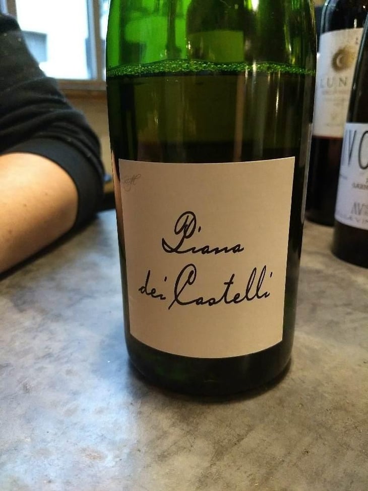 Piana dei Castelli (bianco) - Piana dei Castelli - Matteo Ceracchi 