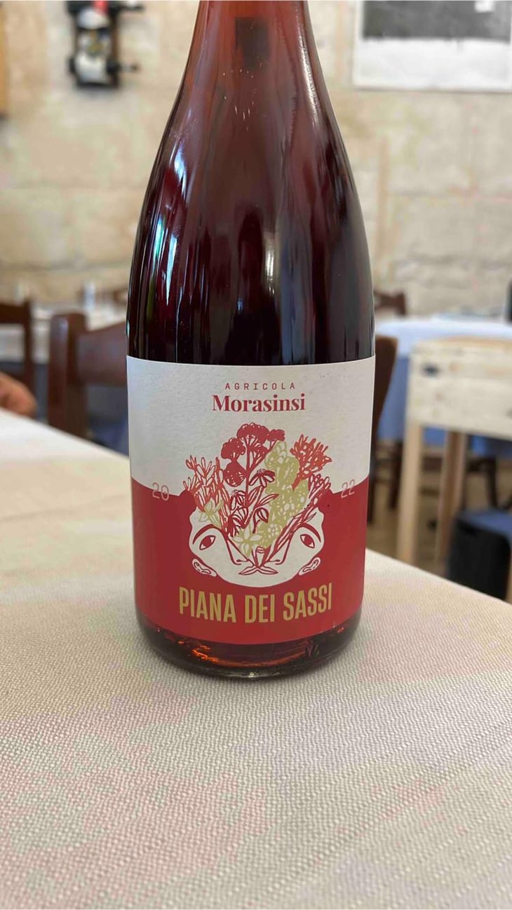 Piana dei Sassi - Morasinsi - Sveva Sernia and Peter Geier 
