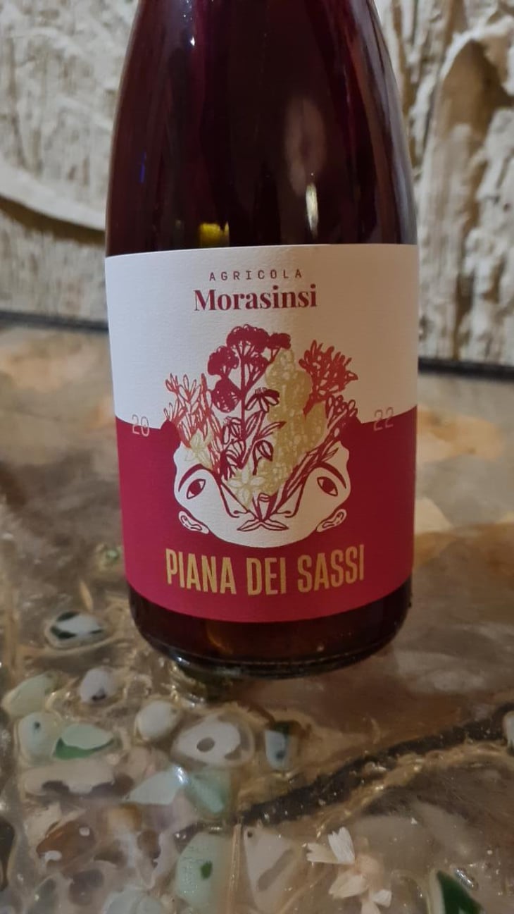 Piana dei Sassi - Morasinsi - Sveva Sernia and Peter Geier 