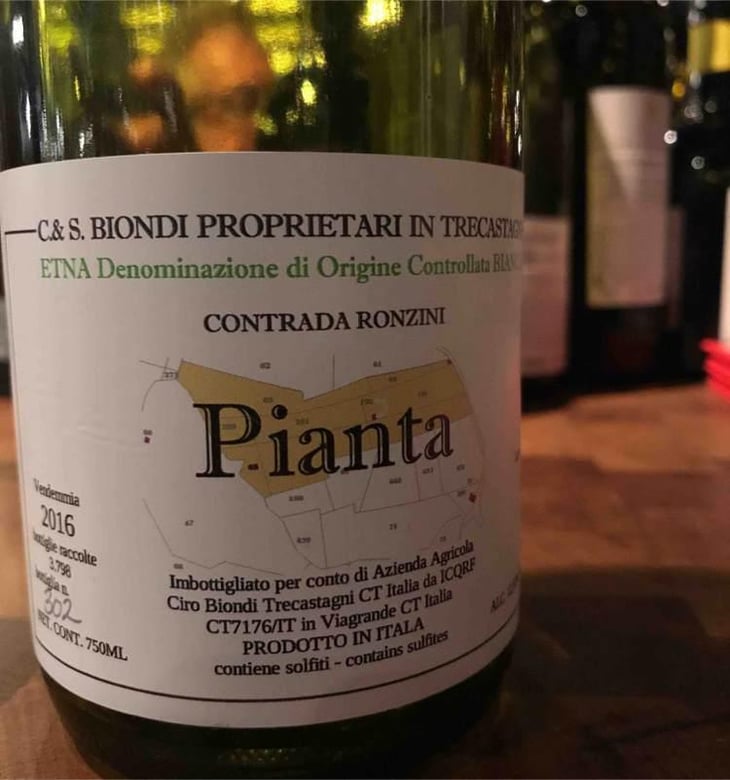 Pianta - Ciro Biondi - Ciro Biondi 