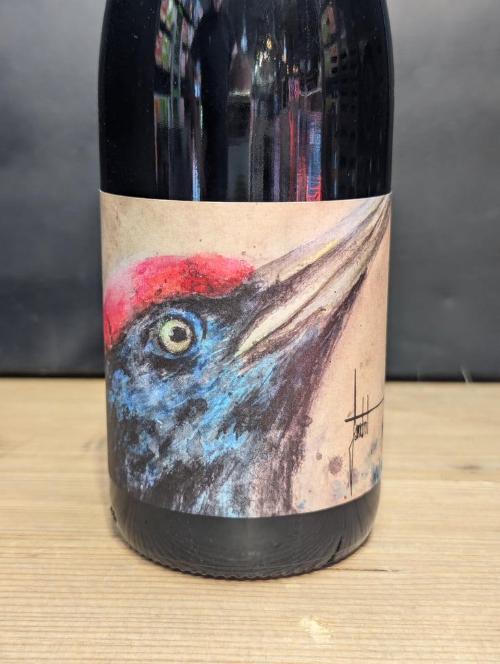Pic Noir - Domaine Blanc Plume - Raphaël Colin 