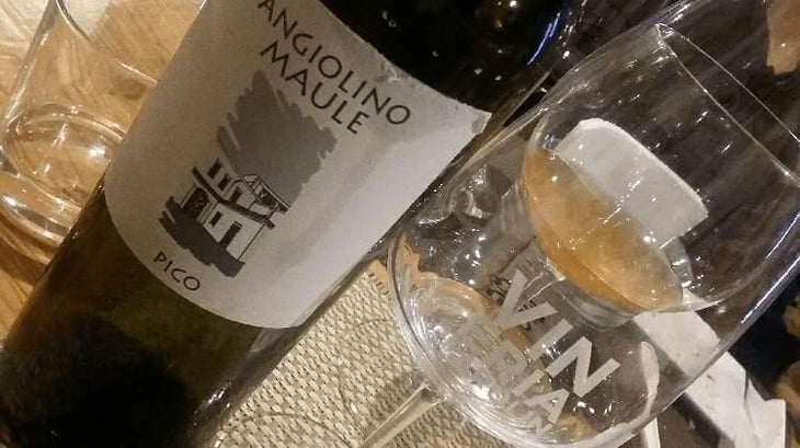 Pico - Azienda Agricola La Biancara - Angiolino Maule 