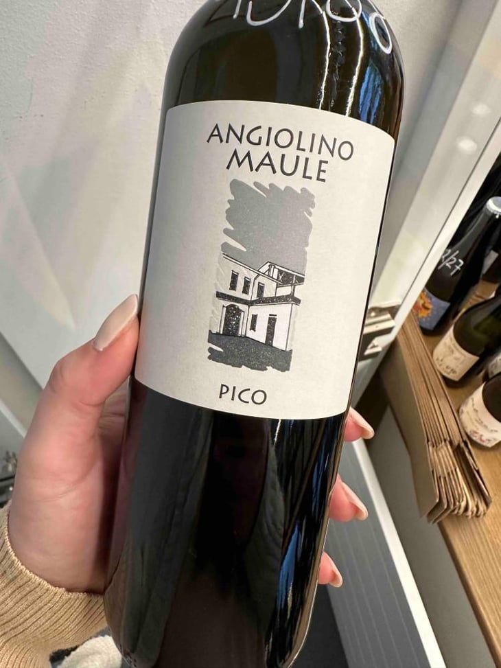 Pico - Azienda Agricola La Biancara - Angiolino Maule 