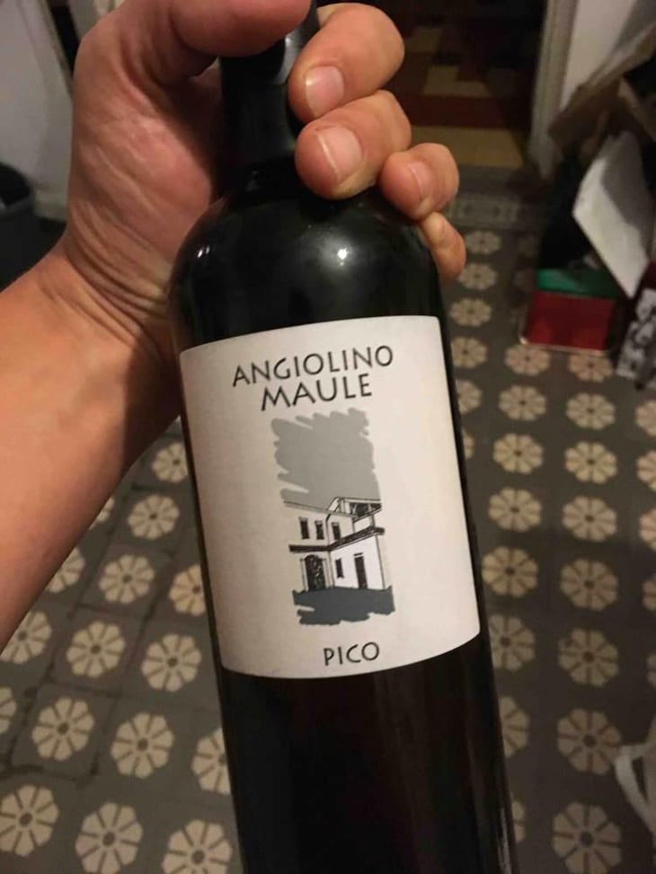 Pico - Azienda Agricola La Biancara - Angiolino Maule 