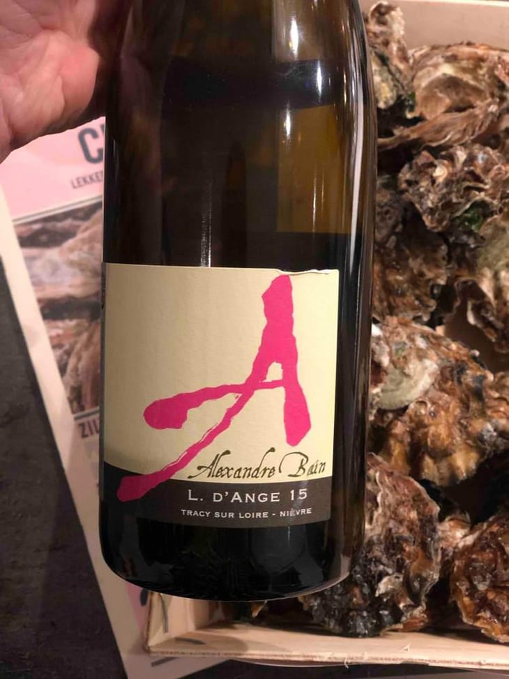 Pierre Précieuse - Domaine Alexandre Bain - Alexandre Bain 