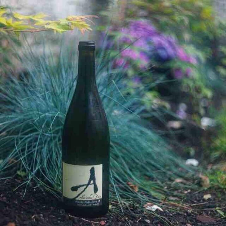 Pierre Précieuse - Domaine Alexandre Bain - Alexandre Bain 