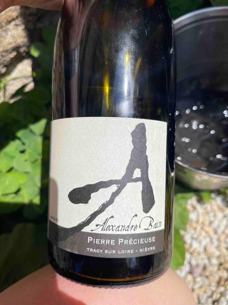 Pierre Précieuse - Domaine Alexandre Bain - Alexandre Bain 