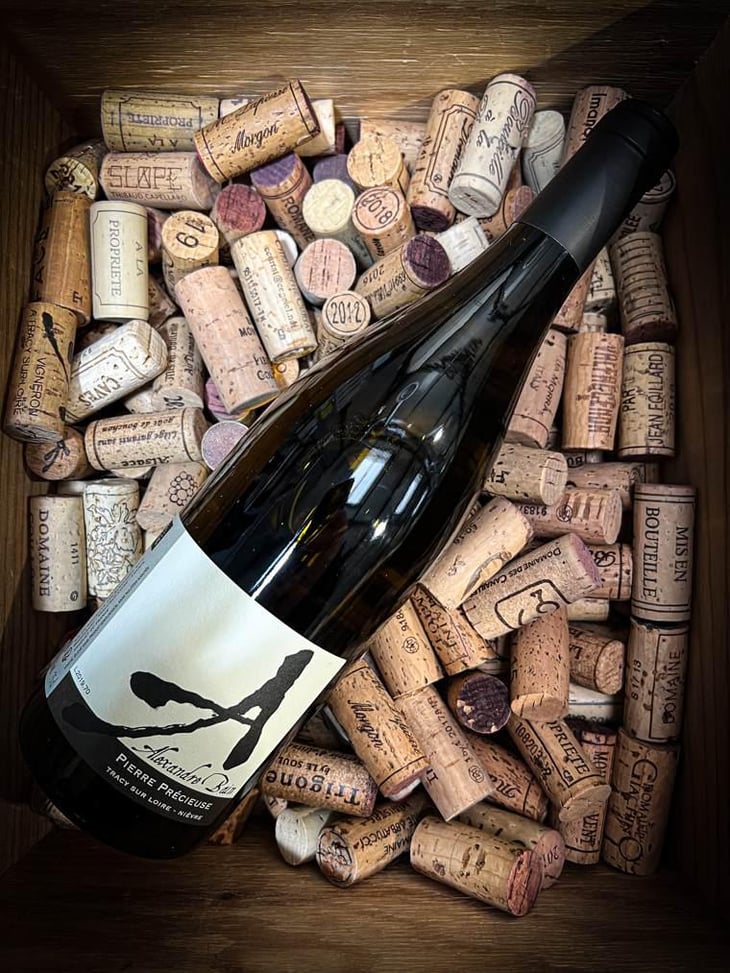 Pierre Précieuse - Domaine Alexandre Bain - Alexandre Bain 