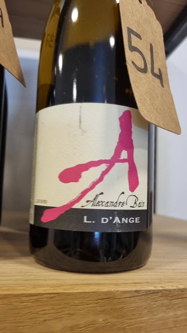 Pierre Précieuse - Domaine Alexandre Bain - Alexandre Bain 