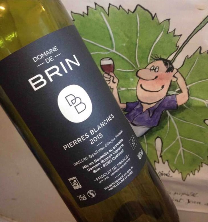 Pierres Blanches - Domaine de Brin - Damien Bonnet 