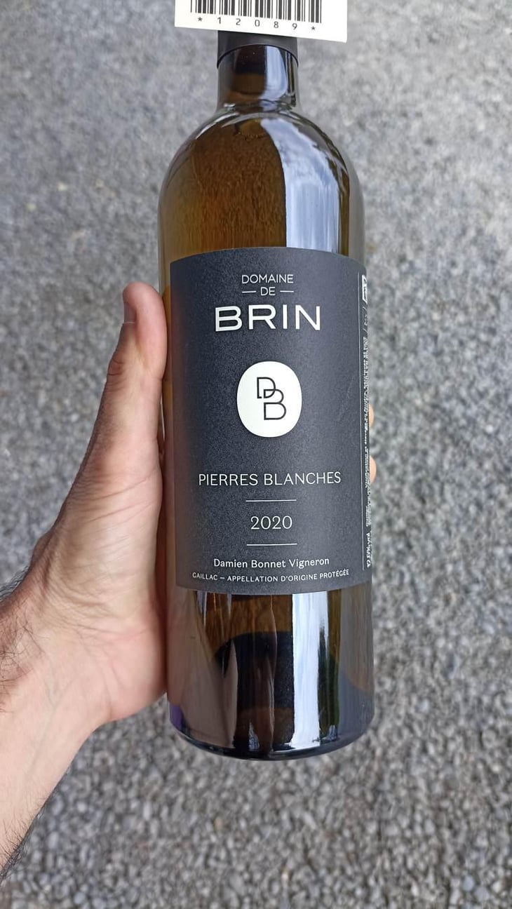 Pierres Blanches - Domaine de Brin - Damien Bonnet 