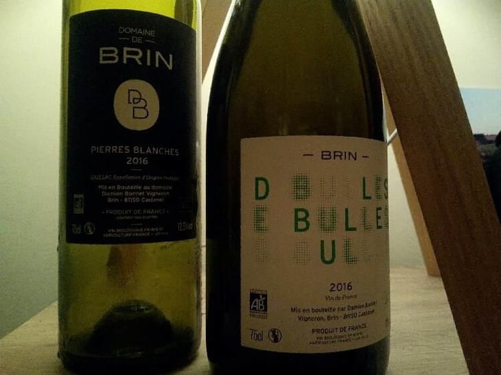 Pierres Blanches - Domaine de Brin - Damien Bonnet 