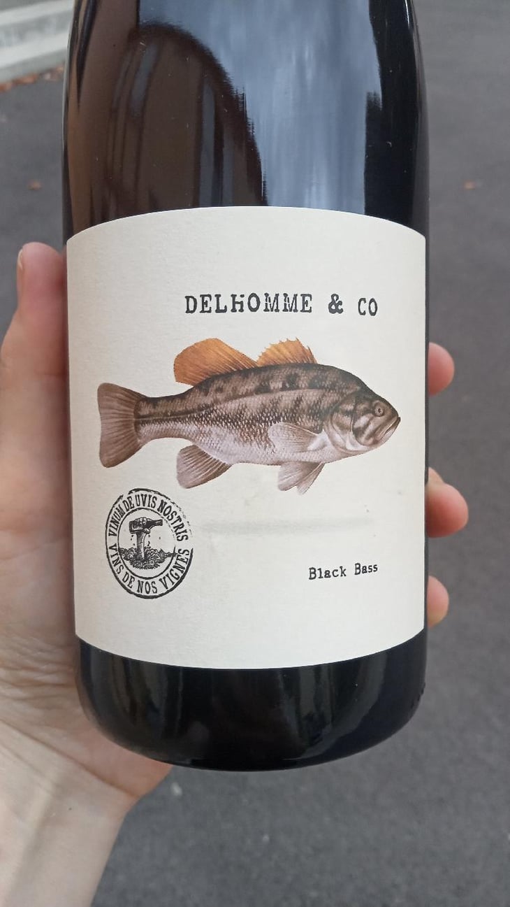 Pifounours - Delhomme & co - Baptiste Delhomme 