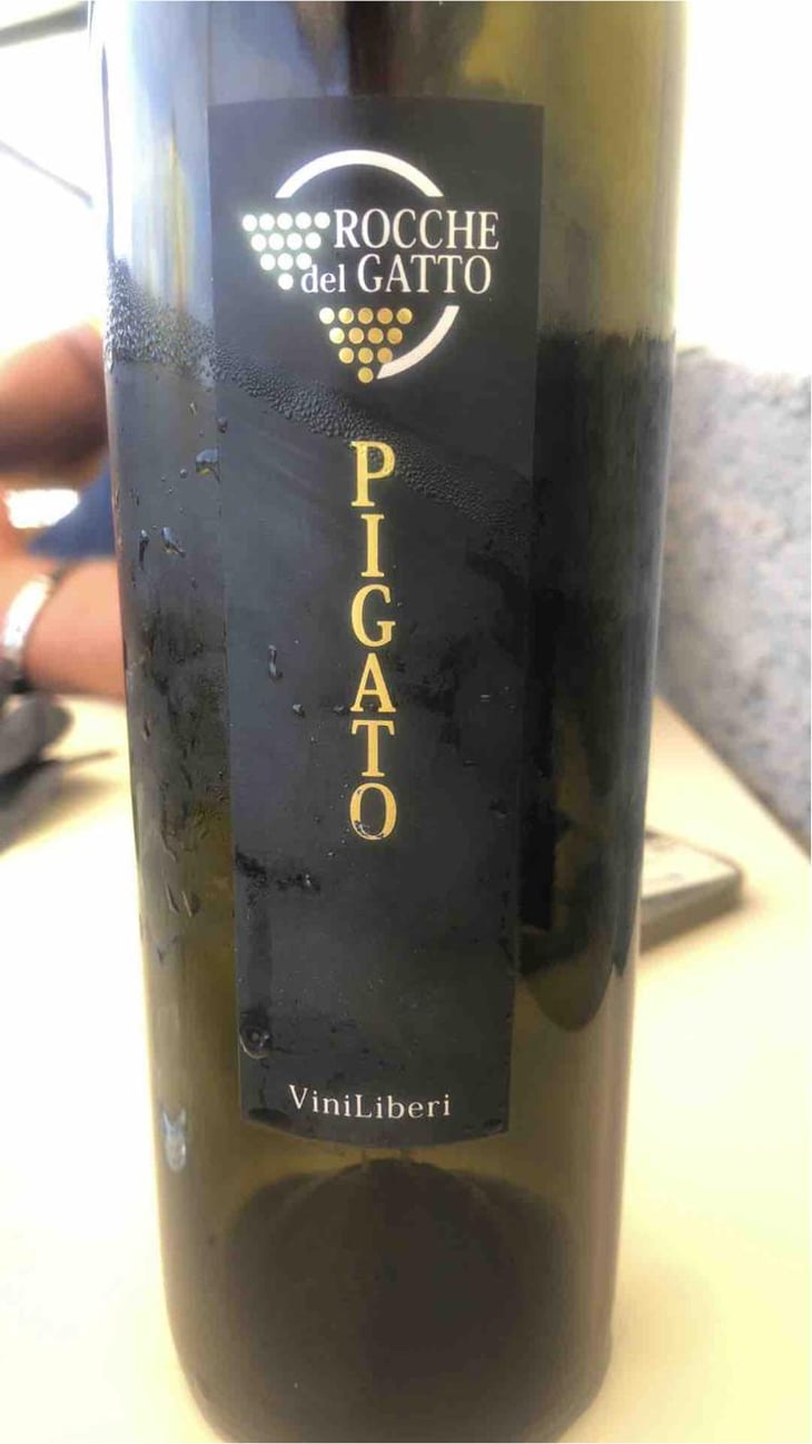 Pigato - Le Rocche del Gatto - Fausto De Andreis 