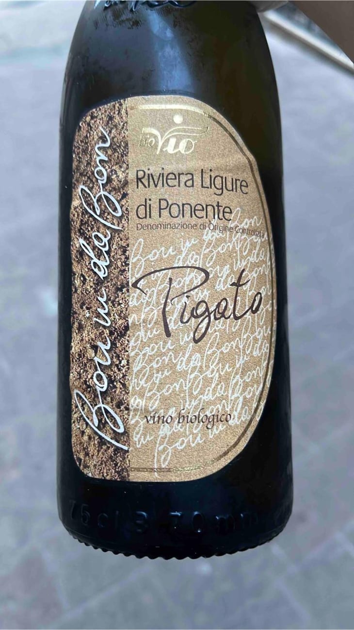 Pigato Bon In Da Bon - Bio Vio - Aimone Giobatta -2017