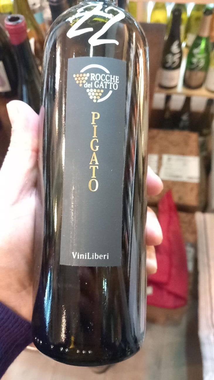 Pigato - Le Rocche del Gatto - Fausto De Andreis 