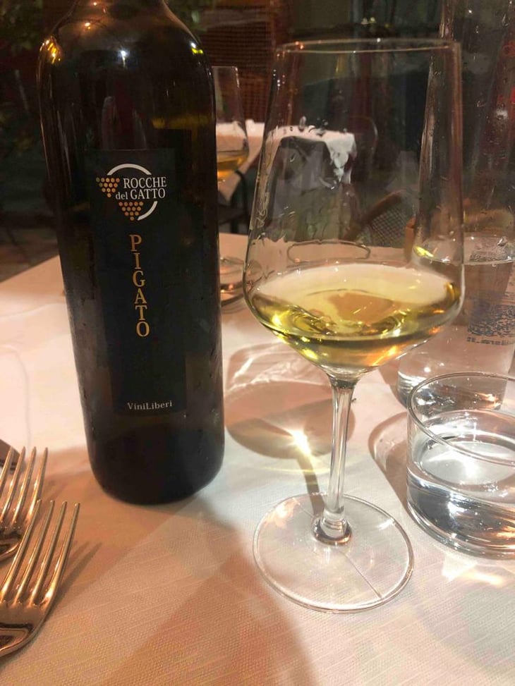Pigato - Le Rocche del Gatto - Fausto De Andreis 