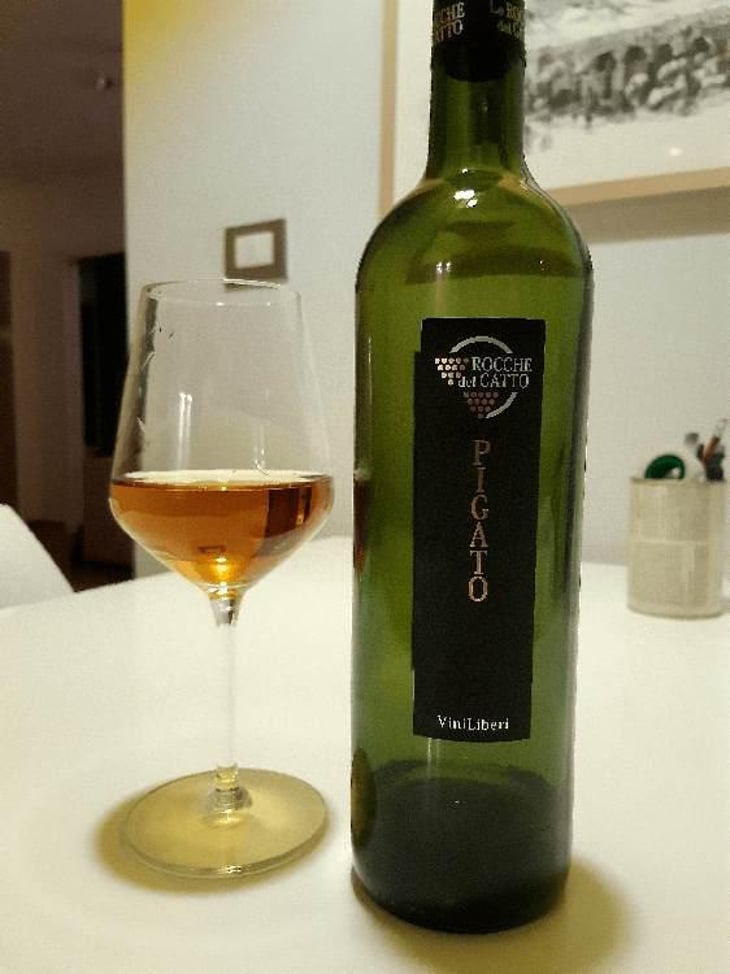 Pigato - Le Rocche del Gatto - Fausto De Andreis 