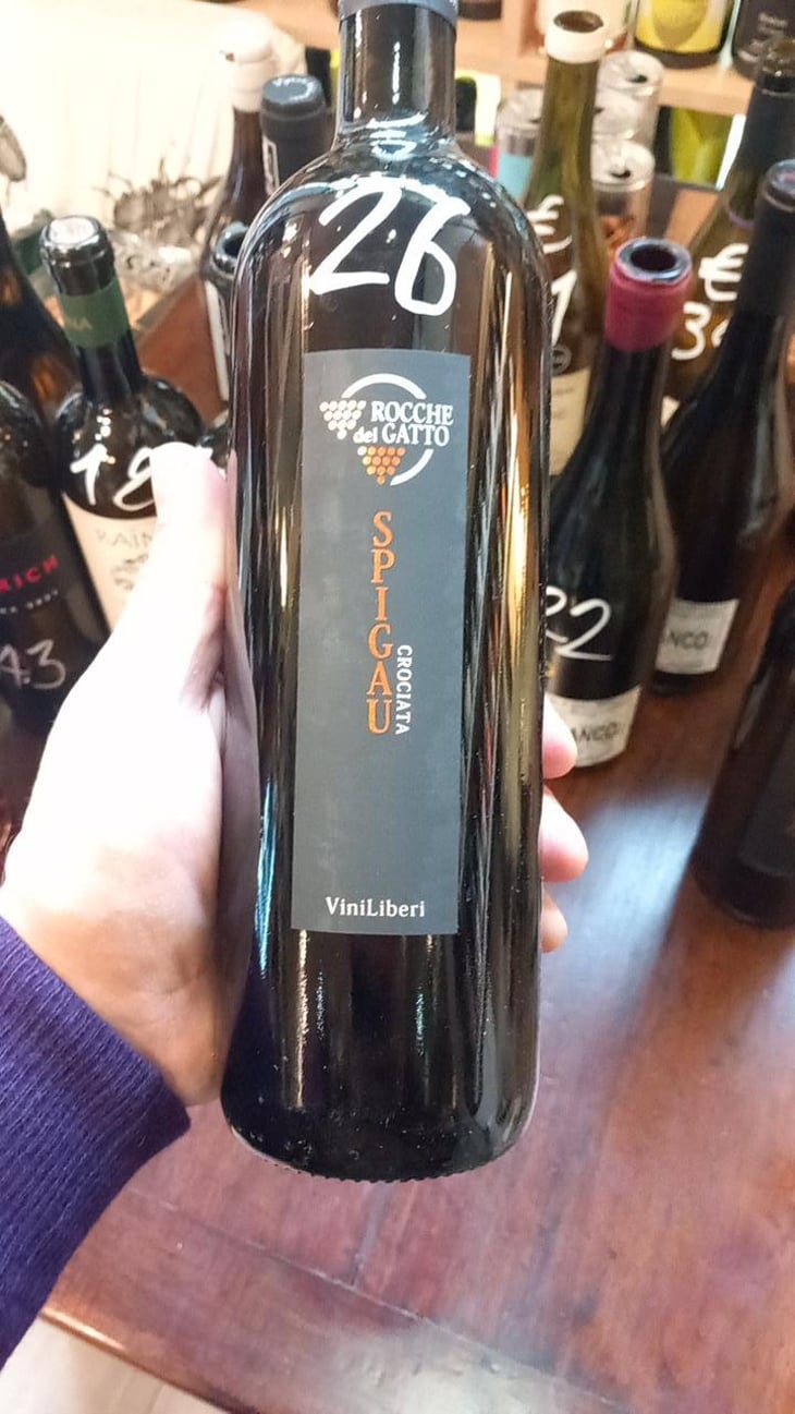 Pigato - Le Rocche del Gatto - Fausto De Andreis 