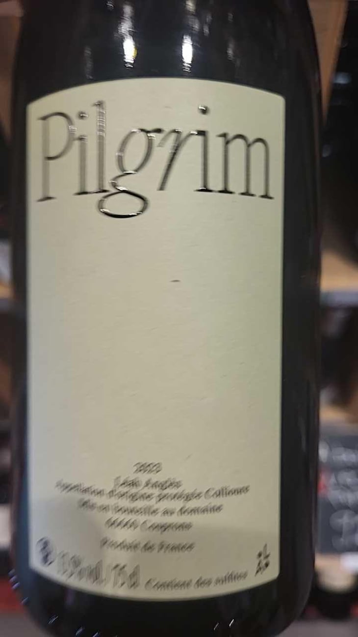 Pilgrim - Léah Anglès - Léah Anglès 