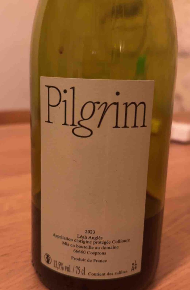 Pilgrim - Léah Anglès - Léah Anglès 