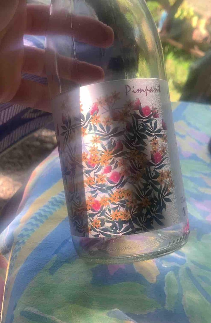 Pimpant - Domaine Capmartin - Famille Capmartin 
