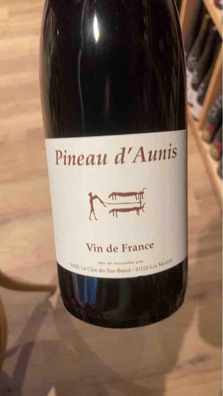 Pineau d'Aunis - Clos du Tue-Bœuf - Zoé, Louise & Thierry Puzelat 