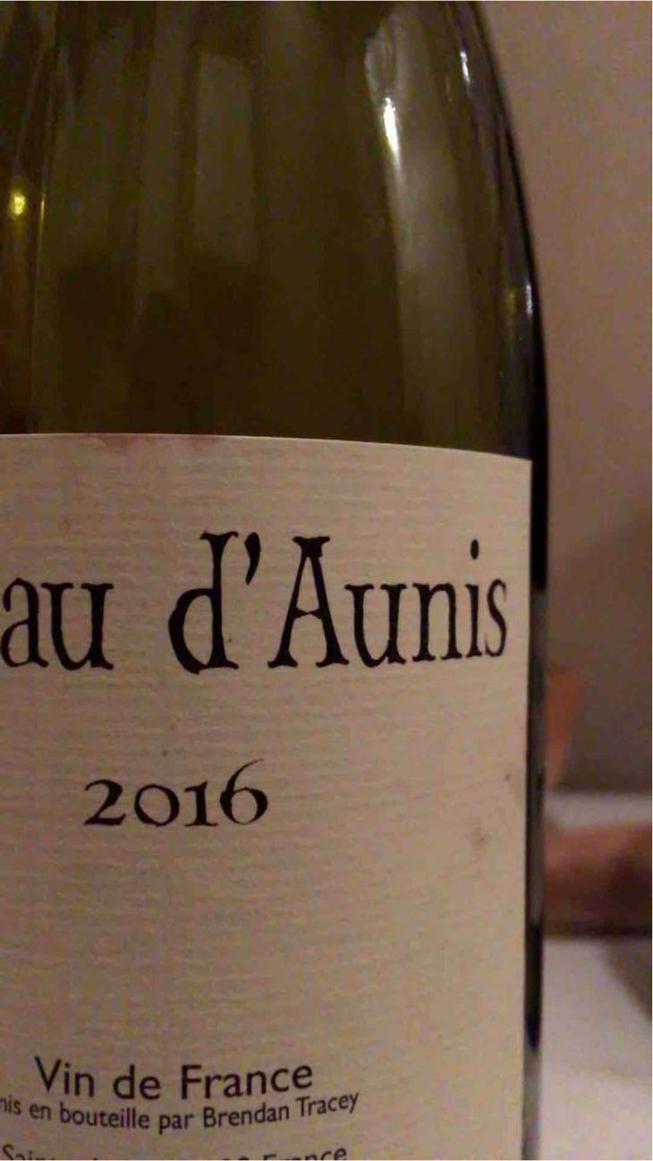 Pineau d'Aunis - Domaine Le Clocher - Les Vins de Sainte Anne - Brendan & Sean Tracey 