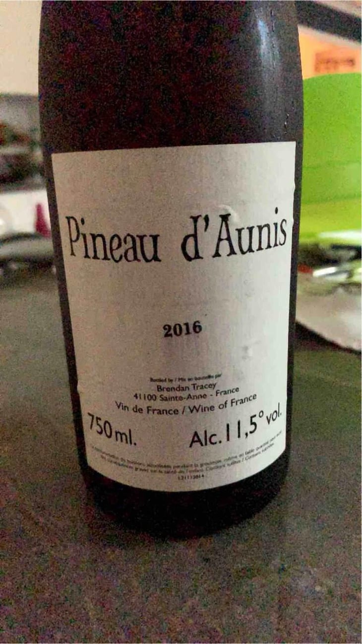 Pineau d'Aunis - Domaine Le Clocher - Les Vins de Sainte Anne - Brendan & Sean Tracey 