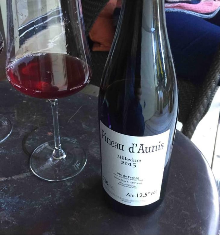 Pineau d'Aunis - Domaine Le Clocher - Les Vins de Sainte Anne - Brendan & Sean Tracey 