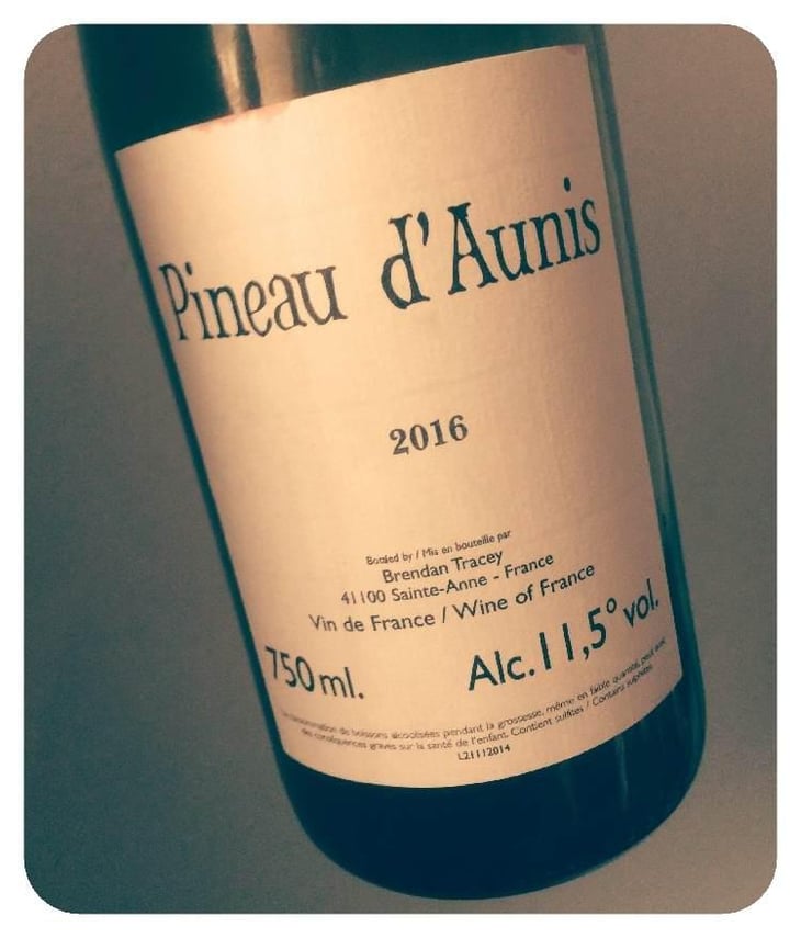 Pineau d'Aunis - Domaine Le Clocher - Les Vins de Sainte Anne - Brendan & Sean Tracey 