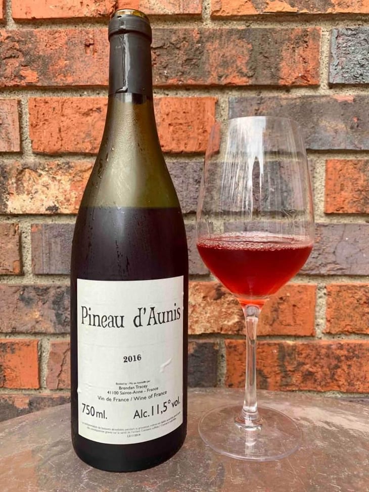 Pineau d'Aunis - Domaine Le Clocher - Les Vins de Sainte Anne - Brendan & Sean Tracey 