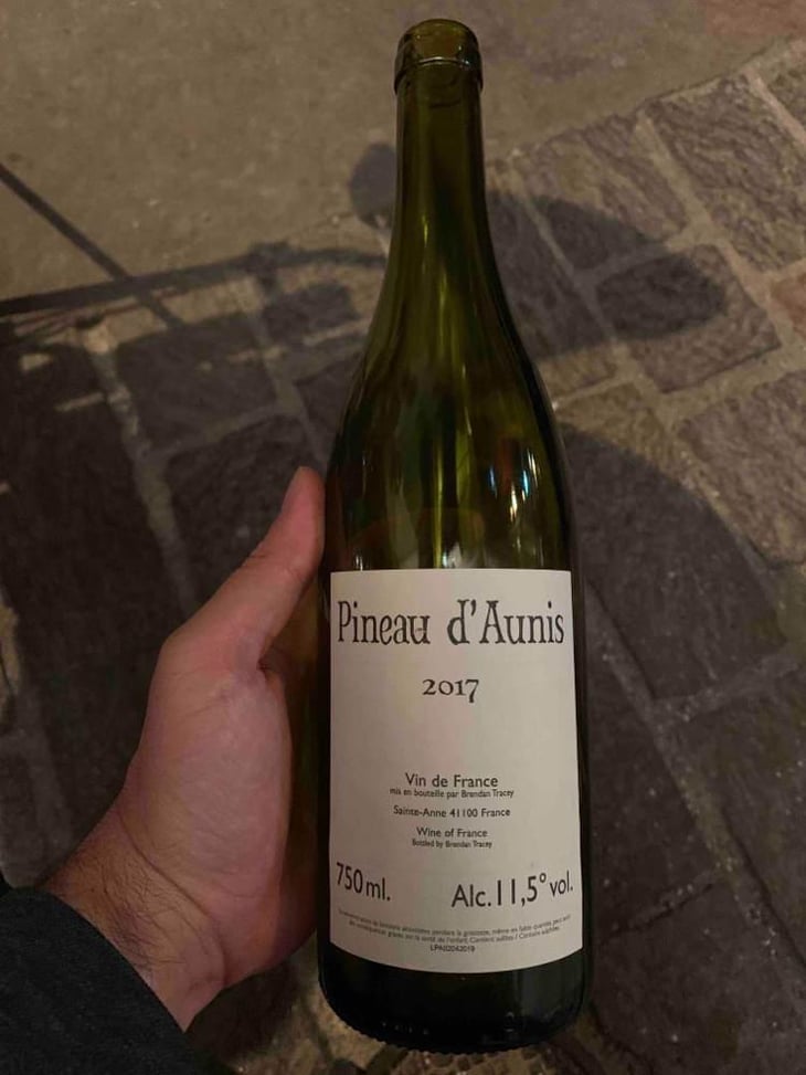 Pineau d'Aunis - Domaine Le Clocher - Les Vins de Sainte Anne - Brendan & Sean Tracey 