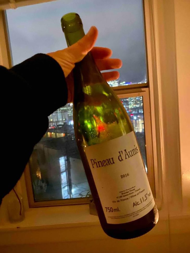 Pineau d'Aunis - Domaine Le Clocher - Les Vins de Sainte Anne - Brendan & Sean Tracey 