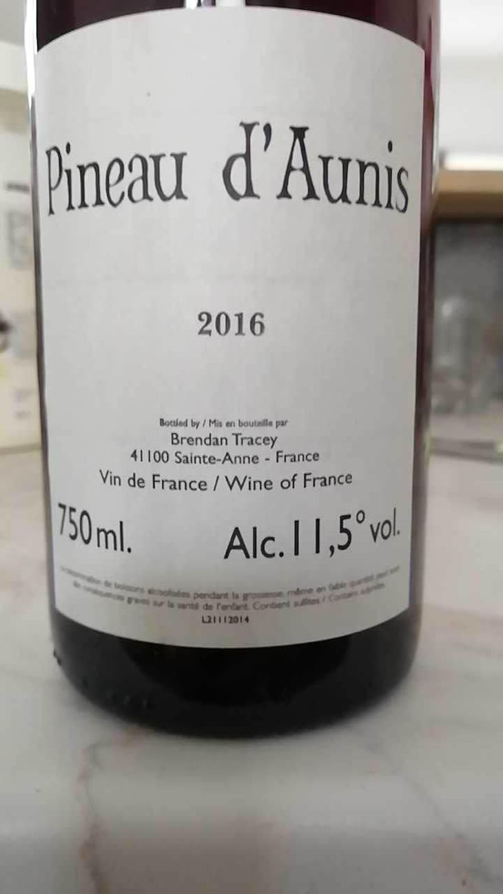Pineau d'Aunis - Domaine Le Clocher - Les Vins de Sainte Anne - Brendan & Sean Tracey 