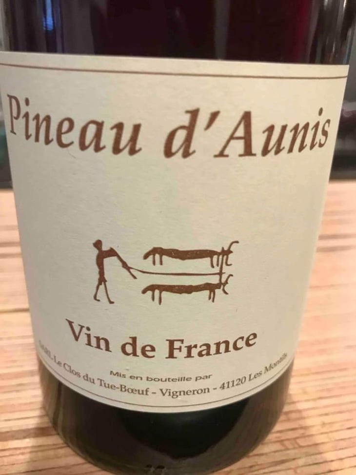 Pineau d'Aunis - Clos du Tue-Bœuf - Zoé, Louise & Thierry Puzelat 