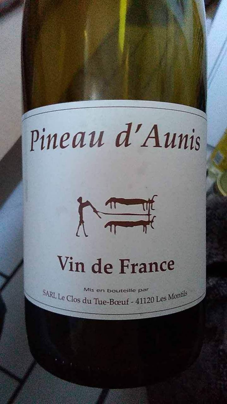 Pineau d'Aunis - Clos du Tue-Bœuf - Zoé, Louise & Thierry Puzelat 