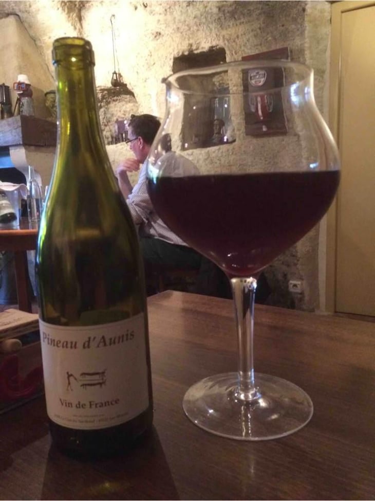 Pineau d'Aunis - Clos du Tue-Bœuf - Zoé, Louise & Thierry Puzelat 