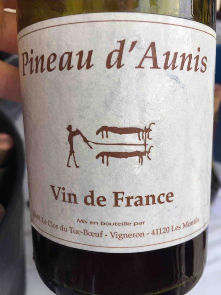 Pineau d'Aunis - Clos du Tue-Bœuf - Zoé, Louise & Thierry Puzelat 