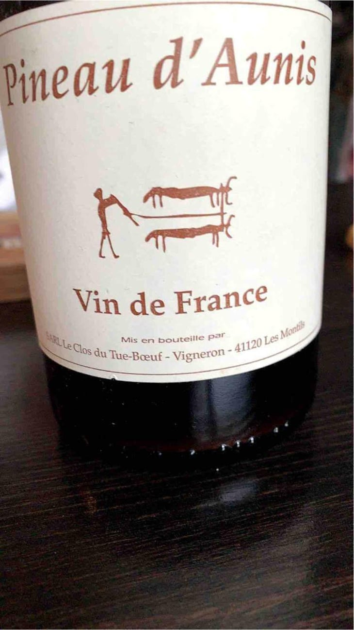 Pineau d'Aunis - Clos du Tue-Bœuf - Zoé, Louise & Thierry Puzelat 